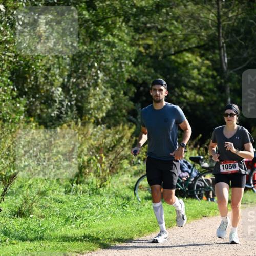27.09.2026 - 35. Volkslauf durch das schöne Alstertal Dr. Thomas Lammeyer http://msf.ph/oto/10579590 27.09.2026 12:09:54 Laufen 1056 meine-sportfotos.de