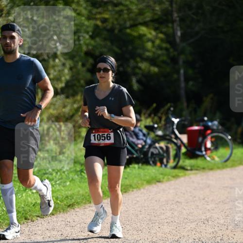 27.09.2026 - 35. Volkslauf durch das schöne Alstertal Dr. Thomas Lammeyer http://msf.ph/oto/10579593 27.09.2026 12:09:56 Laufen 1056 meine-sportfotos.de