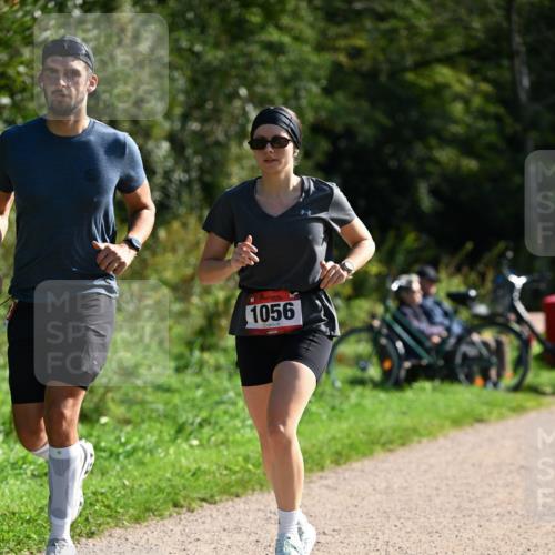 27.09.2026 - 35. Volkslauf durch das schöne Alstertal Dr. Thomas Lammeyer http://msf.ph/oto/10579596 27.09.2026 12:09:56 Laufen 1056 meine-sportfotos.de