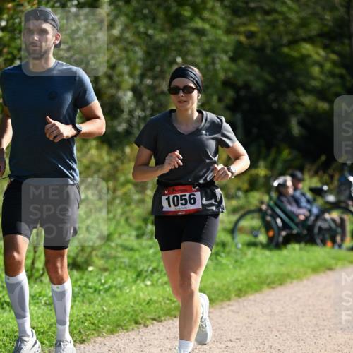 27.09.2026 - 35. Volkslauf durch das schöne Alstertal Dr. Thomas Lammeyer http://msf.ph/oto/10579598 27.09.2026 12:09:56 Laufen 1056 meine-sportfotos.de