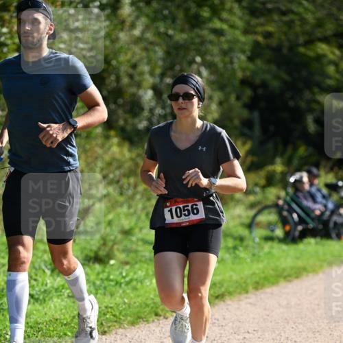 27.09.2026 - 35. Volkslauf durch das schöne Alstertal Dr. Thomas Lammeyer http://msf.ph/oto/10579599 27.09.2026 12:09:56 Laufen 1056 meine-sportfotos.de