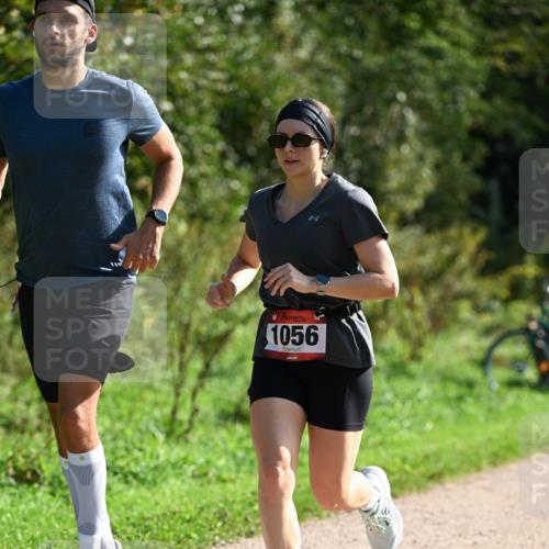 27.09.2026 - 35. Volkslauf durch das schöne Alstertal Dr. Thomas Lammeyer http://msf.ph/oto/10579602 27.09.2026 12:09:57 Laufen 1056 meine-sportfotos.de