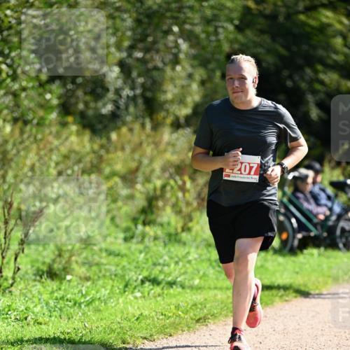 27.09.2026 - 35. Volkslauf durch das schöne Alstertal Dr. Thomas Lammeyer http://msf.ph/oto/10579606 27.09.2026 12:10:03 Laufen 207 meine-sportfotos.de