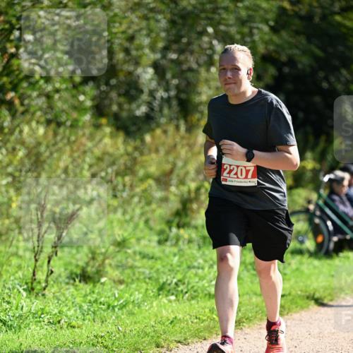27.09.2026 - 35. Volkslauf durch das schöne Alstertal Dr. Thomas Lammeyer http://msf.ph/oto/10579608 27.09.2026 12:10:03 Laufen 2207 meine-sportfotos.de
