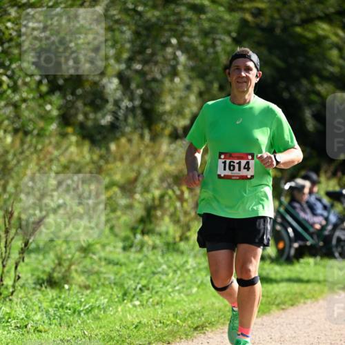 27.09.2026 - 35. Volkslauf durch das schöne Alstertal Dr. Thomas Lammeyer http://msf.ph/oto/10579619 27.09.2026 12:10:05 Laufen 1614 meine-sportfotos.de