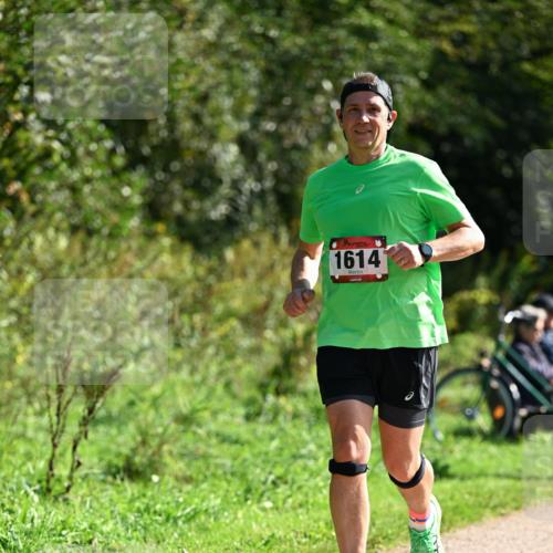 27.09.2026 - 35. Volkslauf durch das schöne Alstertal Dr. Thomas Lammeyer http://msf.ph/oto/10579622 27.09.2026 12:10:06 Laufen 1614 meine-sportfotos.de