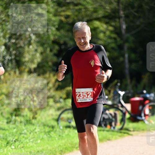 27.09.2026 - 35. Volkslauf durch das schöne Alstertal Dr. Thomas Lammeyer http://msf.ph/oto/10579642 27.09.2026 12:10:10 Laufen 2352 meine-sportfotos.de