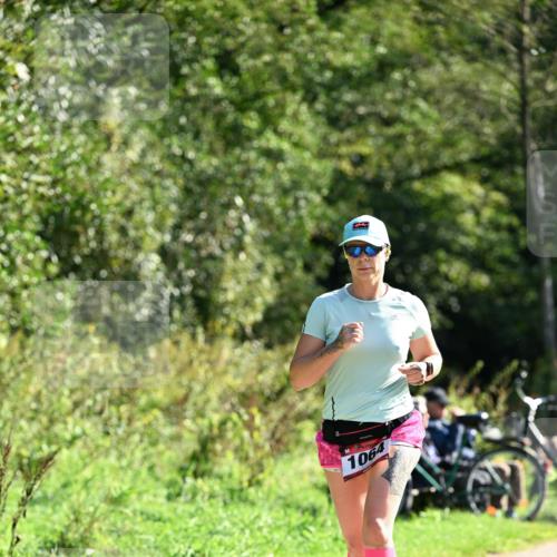 27.09.2026 - 35. Volkslauf durch das schöne Alstertal Dr. Thomas Lammeyer http://msf.ph/oto/10579677 27.09.2026 12:10:51 Laufen 1064 meine-sportfotos.de