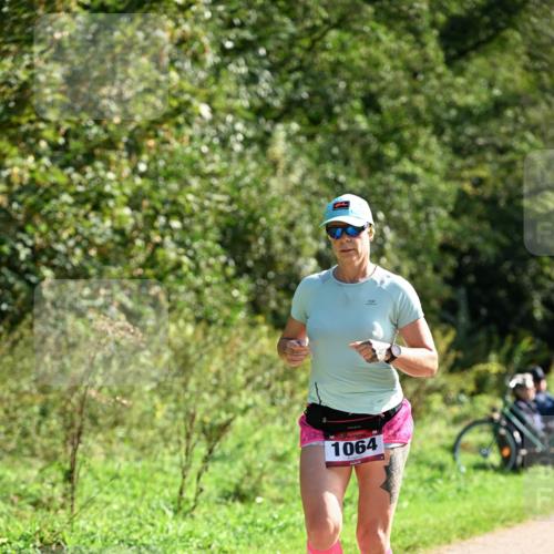 27.09.2026 - 35. Volkslauf durch das schöne Alstertal Dr. Thomas Lammeyer http://msf.ph/oto/10579687 27.09.2026 12:10:52 Laufen 1064 meine-sportfotos.de