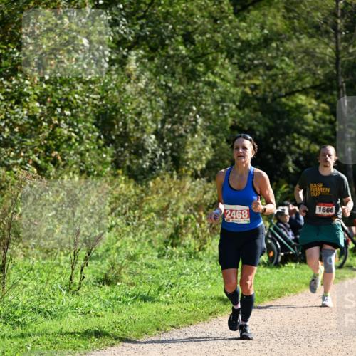 27.09.2026 - 35. Volkslauf durch das schöne Alstertal Dr. Thomas Lammeyer http://msf.ph/oto/10579695 27.09.2026 12:10:57 Laufen 2468, 1666 meine-sportfotos.de