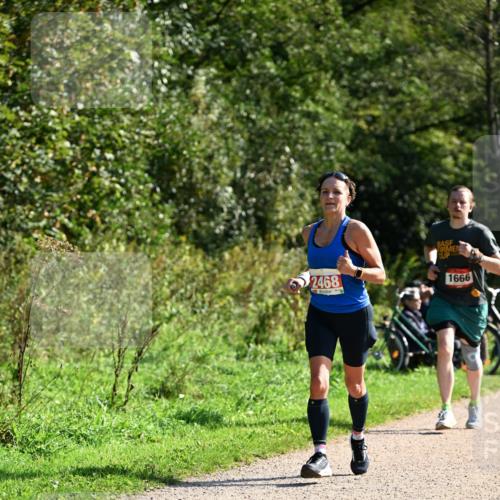 27.09.2026 - 35. Volkslauf durch das schöne Alstertal Dr. Thomas Lammeyer http://msf.ph/oto/10579697 27.09.2026 12:10:58 Laufen 2468, 1666 meine-sportfotos.de