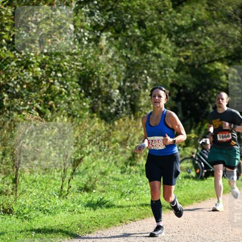 27.09.2026 - 35. Volkslauf durch das schöne Alstertal Dr. Thomas Lammeyer http://msf.ph/oto/10579698 27.09.2026 12:10:58 Laufen 2468, 1666 meine-sportfotos.de