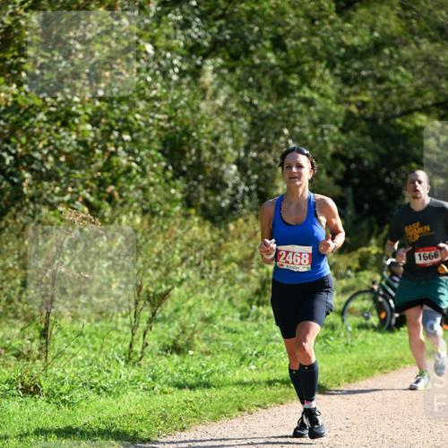 27.09.2026 - 35. Volkslauf durch das schöne Alstertal Dr. Thomas Lammeyer http://msf.ph/oto/10579699 27.09.2026 12:10:58 Laufen 2468, 1666 meine-sportfotos.de
