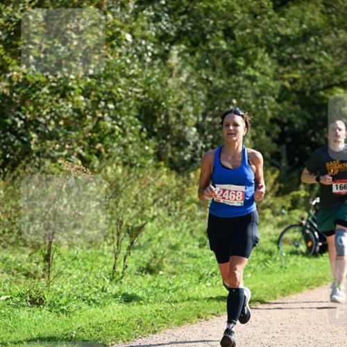 27.09.2026 - 35. Volkslauf durch das schöne Alstertal Dr. Thomas Lammeyer http://msf.ph/oto/10579701 27.09.2026 12:10:58 Laufen 2468, 166 meine-sportfotos.de