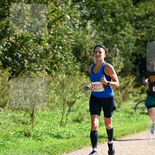 27.09.2026 - 35. Volkslauf durch das schöne Alstertal Dr. Thomas Lammeyer http://msf.ph/oto/10579704 27.09.2026 12:10:58 Laufen 2468 meine-sportfotos.de