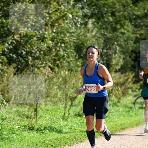 27.09.2026 - 35. Volkslauf durch das schöne Alstertal Dr. Thomas Lammeyer http://msf.ph/oto/10579705 27.09.2026 12:10:58 Laufen 2468 meine-sportfotos.de