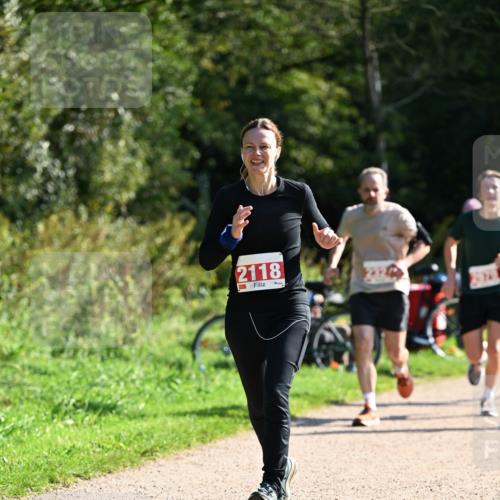 27.09.2026 - 35. Volkslauf durch das schöne Alstertal Dr. Thomas Lammeyer http://msf.ph/oto/10579760 27.09.2026 12:11:11 Laufen 2118 meine-sportfotos.de