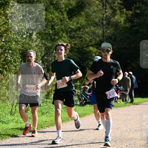 27.09.2026 - 35. Volkslauf durch das schöne Alstertal Dr. Thomas Lammeyer http://msf.ph/oto/10579774 27.09.2026 12:11:14 Laufen 2327, 2979, 295 meine-sportfotos.de
