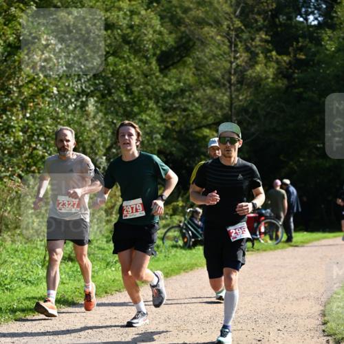 27.09.2026 - 35. Volkslauf durch das schöne Alstertal Dr. Thomas Lammeyer http://msf.ph/oto/10579775 27.09.2026 12:11:14 Laufen 2327, 2979, 295 meine-sportfotos.de