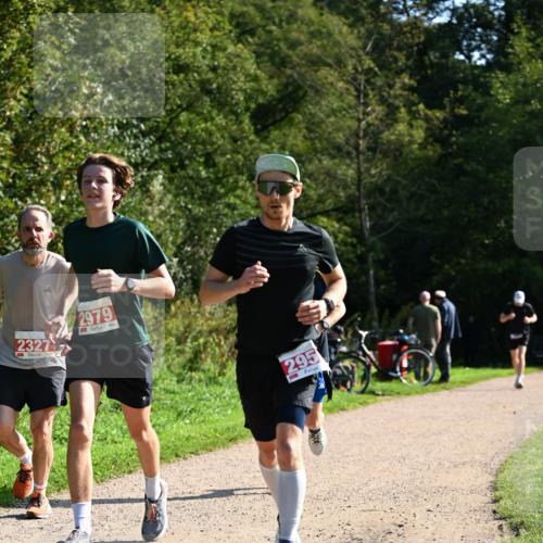 27.09.2026 - 35. Volkslauf durch das schöne Alstertal Dr. Thomas Lammeyer http://msf.ph/oto/10579779 27.09.2026 12:11:14 Laufen 2327, 2979, 295 meine-sportfotos.de