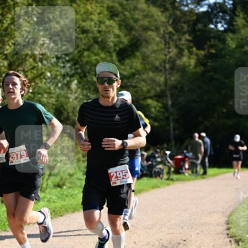 27.09.2026 - 35. Volkslauf durch das schöne Alstertal Dr. Thomas Lammeyer http://msf.ph/oto/10579780 27.09.2026 12:11:15 Laufen 2979, 295 meine-sportfotos.de