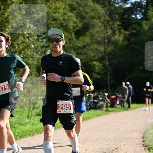 27.09.2026 - 35. Volkslauf durch das schöne Alstertal Dr. Thomas Lammeyer http://msf.ph/oto/10579782 27.09.2026 12:11:15 Laufen 979, 9, 295, 480 meine-sportfotos.de