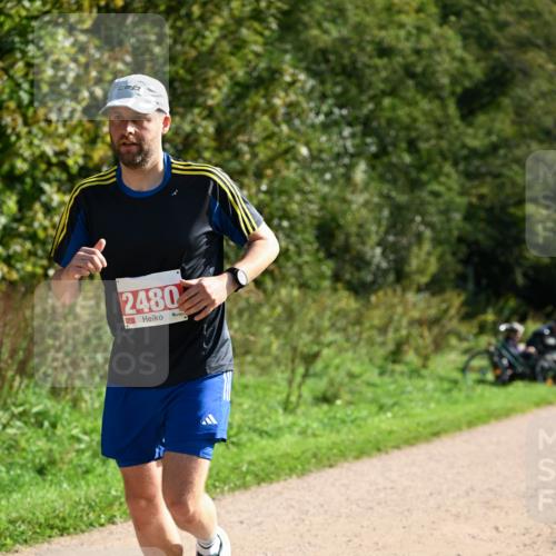 27.09.2026 - 35. Volkslauf durch das schöne Alstertal Dr. Thomas Lammeyer http://msf.ph/oto/10579789 27.09.2026 12:11:16 Laufen 2480 meine-sportfotos.de