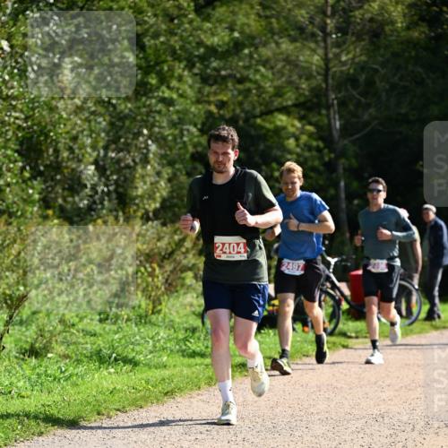 27.09.2026 - 35. Volkslauf durch das schöne Alstertal Dr. Thomas Lammeyer http://msf.ph/oto/10579800 27.09.2026 12:11:26 Laufen 2404, 2497 meine-sportfotos.de
