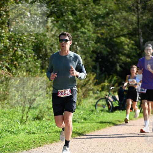 27.09.2026 - 35. Volkslauf durch das schöne Alstertal Dr. Thomas Lammeyer http://msf.ph/oto/10579829 27.09.2026 12:11:30 Laufen 2496, 50 meine-sportfotos.de