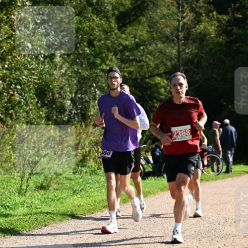 27.09.2026 - 35. Volkslauf durch das schöne Alstertal Dr. Thomas Lammeyer http://msf.ph/oto/10579838 27.09.2026 12:11:31 Laufen 50, 2368 meine-sportfotos.de