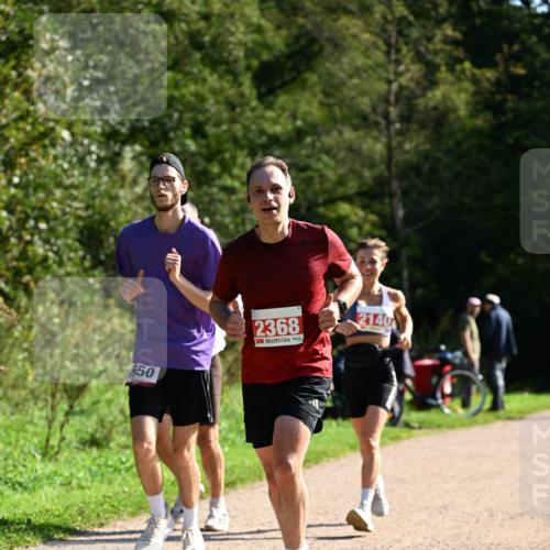 27.09.2026 - 35. Volkslauf durch das schöne Alstertal Dr. Thomas Lammeyer http://msf.ph/oto/10579841 27.09.2026 12:11:32 Laufen 650, 2368, 2140 meine-sportfotos.de