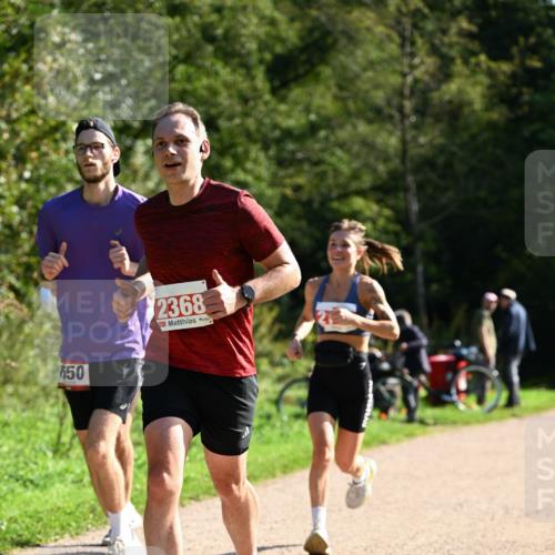 27.09.2026 - 35. Volkslauf durch das schöne Alstertal Dr. Thomas Lammeyer http://msf.ph/oto/10579845 27.09.2026 12:11:32 Laufen 650, 2368 meine-sportfotos.de