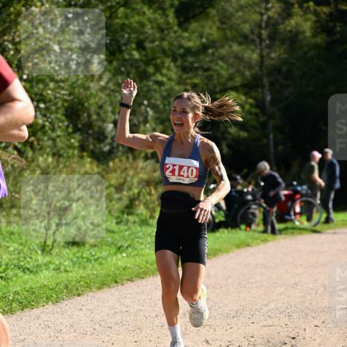 27.09.2026 - 35. Volkslauf durch das schöne Alstertal Dr. Thomas Lammeyer http://msf.ph/oto/10579848 27.09.2026 12:11:33 Laufen 2140 meine-sportfotos.de