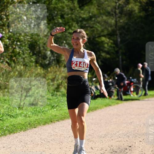 27.09.2026 - 35. Volkslauf durch das schöne Alstertal Dr. Thomas Lammeyer http://msf.ph/oto/10579850 27.09.2026 12:11:33 Laufen 2140 meine-sportfotos.de