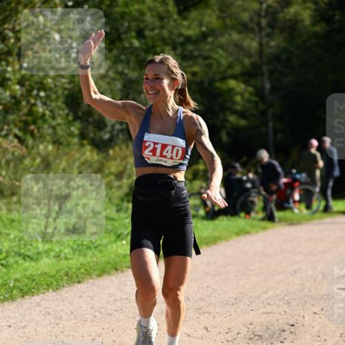 27.09.2026 - 35. Volkslauf durch das schöne Alstertal Dr. Thomas Lammeyer http://msf.ph/oto/10579852 27.09.2026 12:11:33 Laufen 2140, 1 meine-sportfotos.de