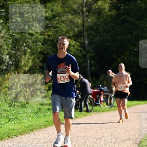 27.09.2026 - 35. Volkslauf durch das schöne Alstertal Dr. Thomas Lammeyer http://msf.ph/oto/10579877 27.09.2026 12:11:43 Laufen 2449 meine-sportfotos.de