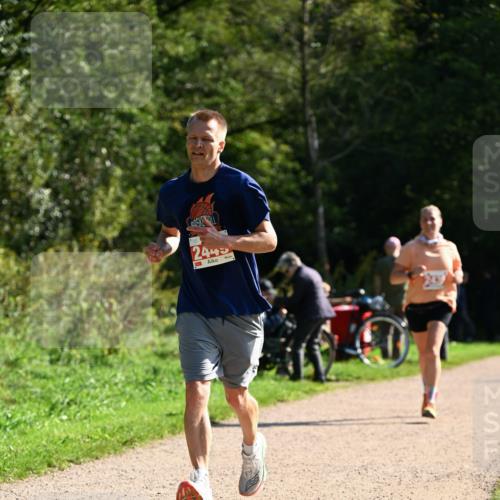 27.09.2026 - 35. Volkslauf durch das schöne Alstertal Dr. Thomas Lammeyer http://msf.ph/oto/10579878 27.09.2026 12:11:43 Laufen 2445 meine-sportfotos.de