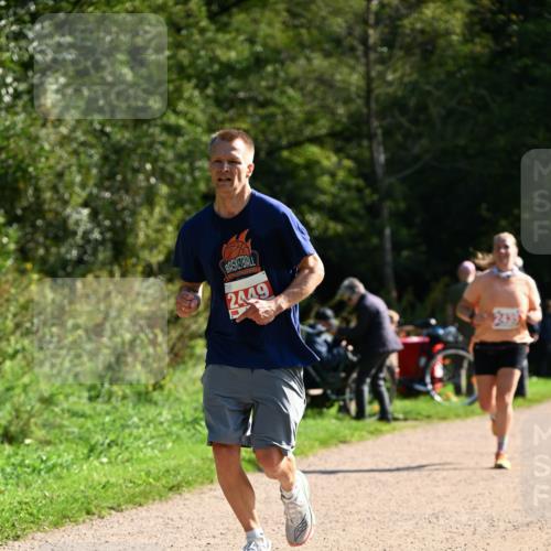 27.09.2026 - 35. Volkslauf durch das schöne Alstertal Dr. Thomas Lammeyer http://msf.ph/oto/10579879 27.09.2026 12:11:43 Laufen 2449 meine-sportfotos.de