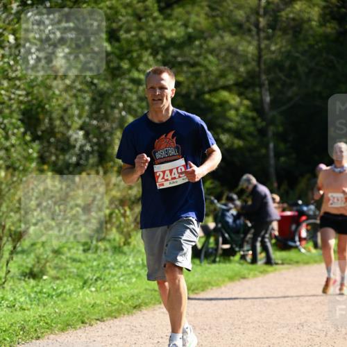 27.09.2026 - 35. Volkslauf durch das schöne Alstertal Dr. Thomas Lammeyer http://msf.ph/oto/10579881 27.09.2026 12:11:43 Laufen 2449 meine-sportfotos.de
