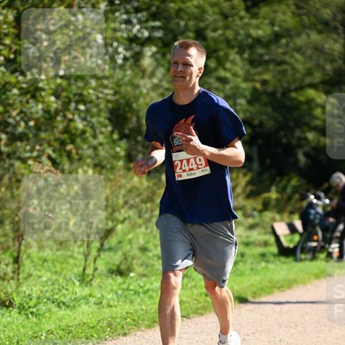 27.09.2026 - 35. Volkslauf durch das schöne Alstertal Dr. Thomas Lammeyer http://msf.ph/oto/10579884 27.09.2026 12:11:43 Laufen 2449 meine-sportfotos.de