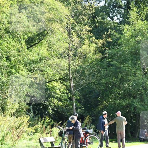 27.09.2026 - 35. Volkslauf durch das schöne Alstertal Dr. Thomas Lammeyer http://msf.ph/oto/10579918 27.09.2026 12:12:00 Laufen  meine-sportfotos.de