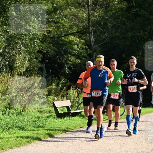 27.09.2026 - 35. Volkslauf durch das schöne Alstertal Dr. Thomas Lammeyer http://msf.ph/oto/10579953 27.09.2026 12:12:24 Laufen 16, 2189, 1626, 2473 meine-sportfotos.de
