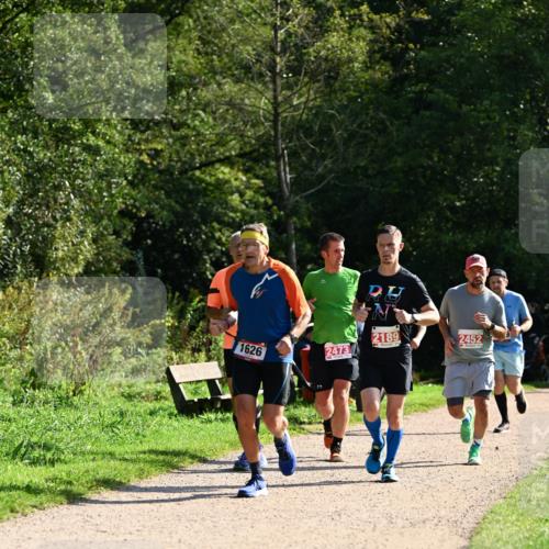 27.09.2026 - 35. Volkslauf durch das schöne Alstertal Dr. Thomas Lammeyer http://msf.ph/oto/10579958 27.09.2026 12:12:25 Laufen 2189, 2452, 1626, 2473 meine-sportfotos.de