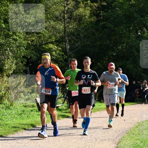 27.09.2026 - 35. Volkslauf durch das schöne Alstertal Dr. Thomas Lammeyer http://msf.ph/oto/10579963 27.09.2026 12:12:26 Laufen 1626, 2473, 2189, 2452, 2452, 1619 meine-sportfotos.de