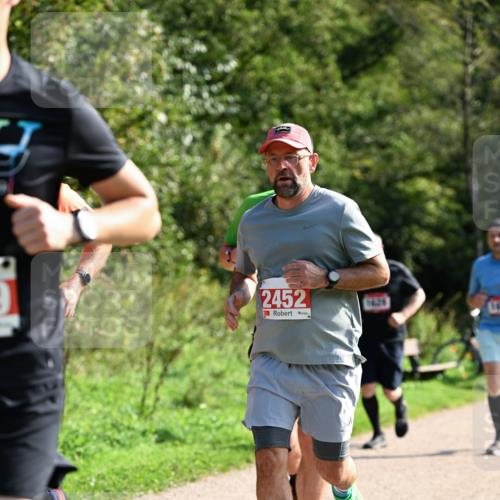 27.09.2026 - 35. Volkslauf durch das schöne Alstertal Dr. Thomas Lammeyer http://msf.ph/oto/10579991 27.09.2026 12:12:29 Laufen 2452 meine-sportfotos.de