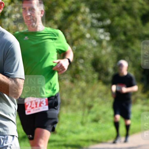 27.09.2026 - 35. Volkslauf durch das schöne Alstertal Dr. Thomas Lammeyer http://msf.ph/oto/10580000 27.09.2026 12:12:30 Laufen 2473 meine-sportfotos.de