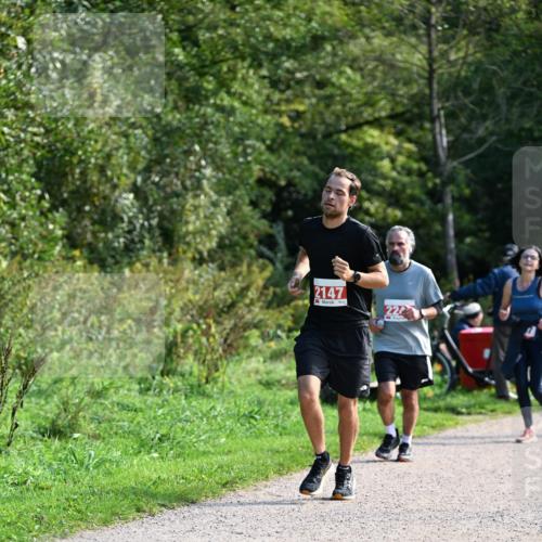 27.09.2026 - 35. Volkslauf durch das schöne Alstertal Dr. Thomas Lammeyer http://msf.ph/oto/10580015 27.09.2026 12:12:34 Laufen 2147, 220 meine-sportfotos.de