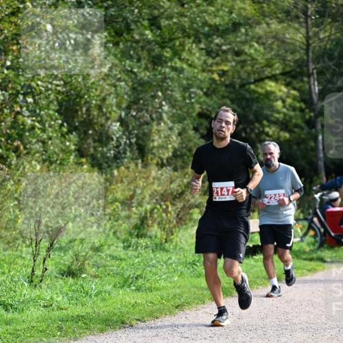 27.09.2026 - 35. Volkslauf durch das schöne Alstertal Dr. Thomas Lammeyer http://msf.ph/oto/10580018 27.09.2026 12:12:35 Laufen 2147, 2242 meine-sportfotos.de