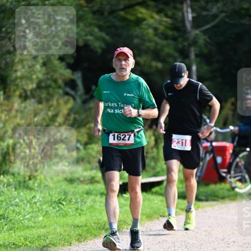 27.09.2026 - 35. Volkslauf durch das schöne Alstertal Dr. Thomas Lammeyer http://msf.ph/oto/10580067 27.09.2026 12:12:45 Laufen 1627, 2318 meine-sportfotos.de