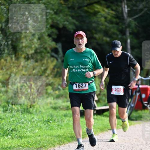 27.09.2026 - 35. Volkslauf durch das schöne Alstertal Dr. Thomas Lammeyer http://msf.ph/oto/10580069 27.09.2026 12:12:45 Laufen 1627, 2318 meine-sportfotos.de